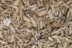 biomass boilers Cotton Of Brighty
